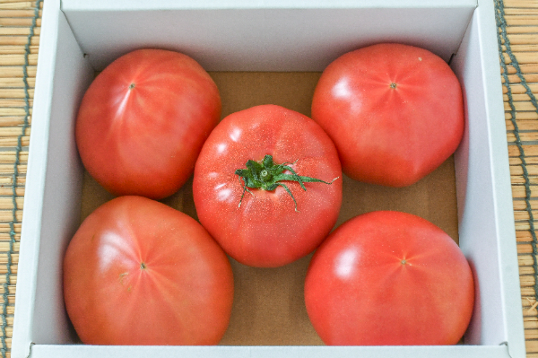 アメーラトマト（M） 【業務用食材の仕入れなら八面六臂】