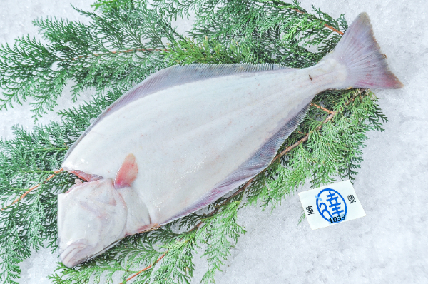 室蘭丸達水産　オヒョウ（北海道室蘭産）