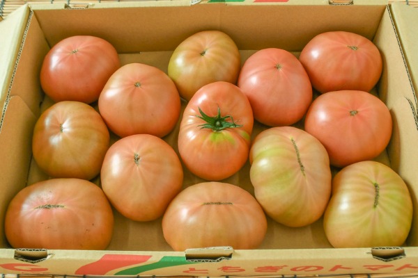 大玉トマト（C3L）（11玉サイズ）箱4kg