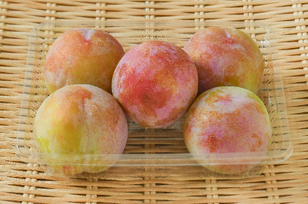 プラム（大石早生）（秀） 【業務用食材の仕入れなら八面六臂】
