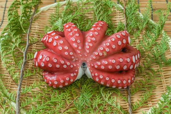 ゆうだち　赤いセミ adidas◇ADIZERO TAKUMI SEN 10_アディゼロ タクミ セン 10/27.5cm/RED