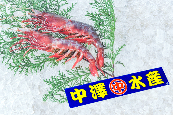 ブドウエビ（折れ）