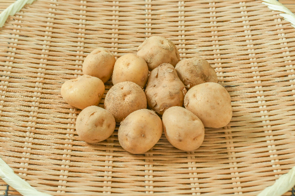 男爵薯（2S）