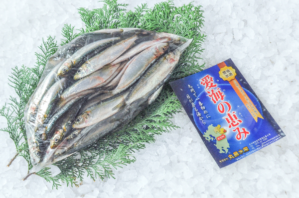 愛海の恵み（丸昌水産）　イワシ　1kg　20gサイズ（大分県佐伯産）