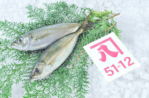 メアジ（小網）