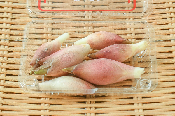 茗荷（A）50gr