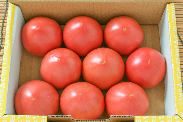 中玉トマト（スイートマイルド）（L）（A）（9玉サイズ）箱1kg