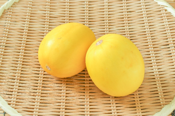 キンショーメロン（11玉サイズ）