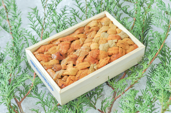 ムラサキウニ（Bバラ）