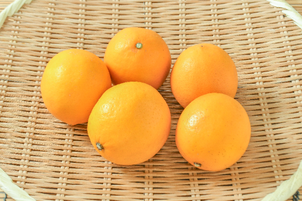 マイヤーレモン 【業務用食材の仕入れなら八面六臂】
