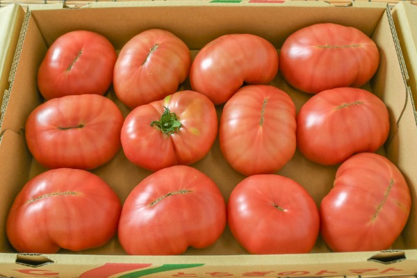 大玉トマト（CL）（12玉サイズ）箱4kg