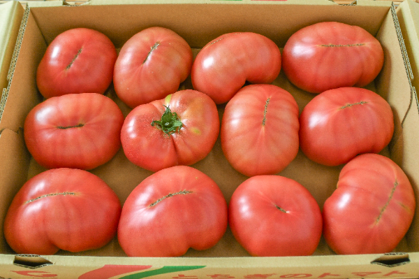大玉トマト（CL）（12玉サイズ）箱4kg