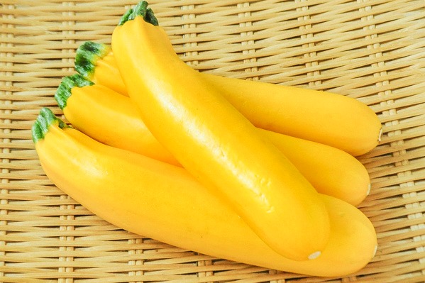 黄ズッキーニ（9本サイズ）