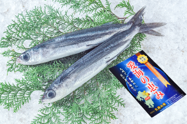 愛海の恵み（丸昌水産）　トビウオ（定置網）（大分県佐伯産）
