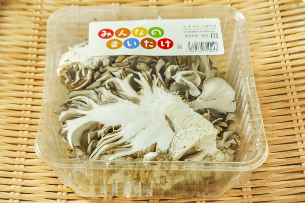 舞茸（株割り）