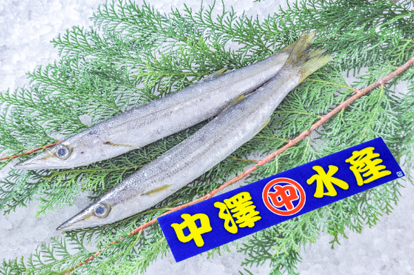 アカカマス（底曳網）