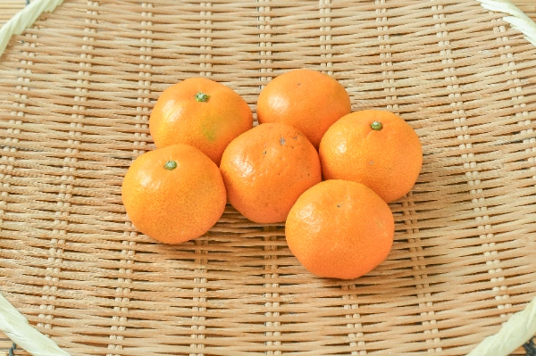 浜美人みかん（早生）（Sサイズ）500gr