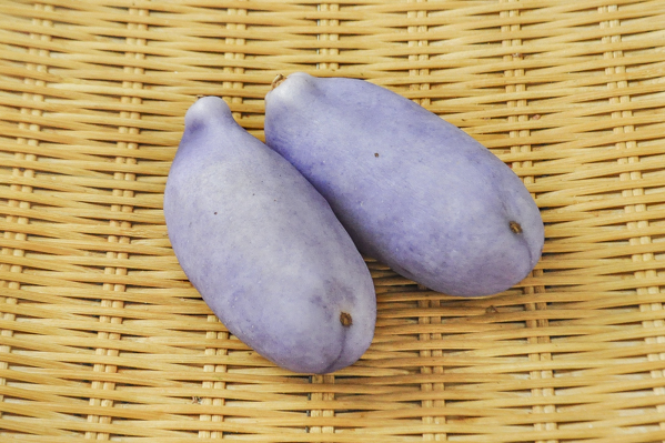 あけび篭「並編角篭（46x46x19cm）」【 送料確認用出品