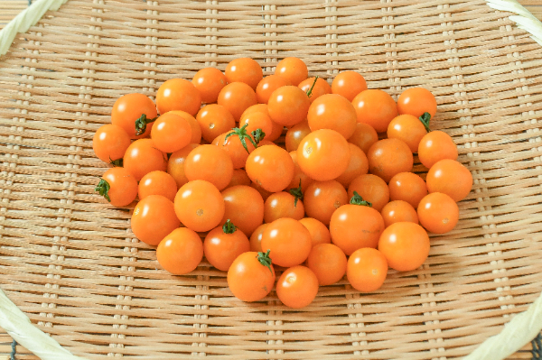 あまえぎみ（オレンジ）（M）（優）