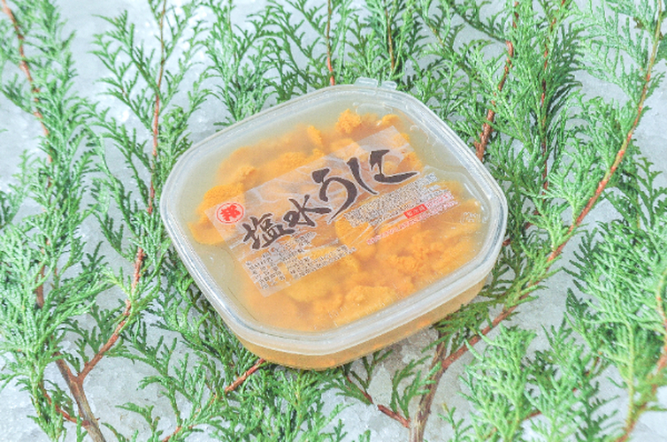 塩水ムラサキウニ