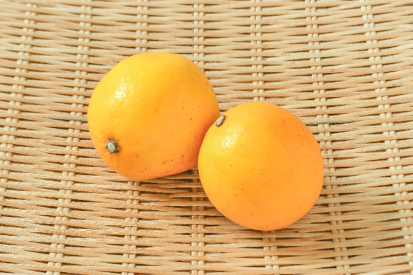 マイヤーレモン 【業務用食材の仕入れなら八面六臂】