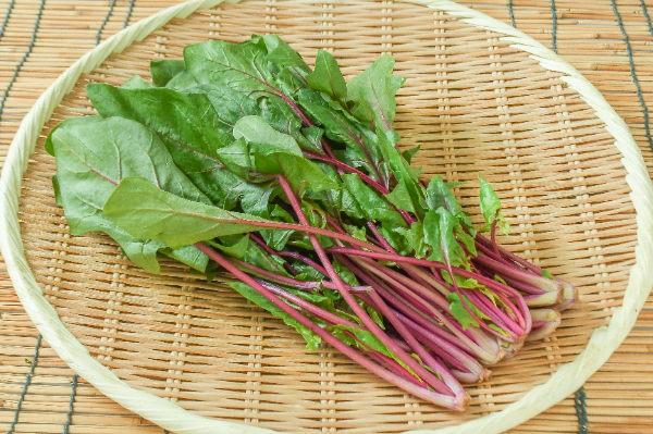 赤軸ほうれん草　150gr