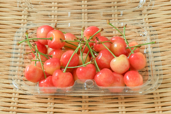 月山錦 【業務用食材の仕入れなら八面六臂】