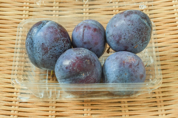 a3333さん専用　紅りょうぜん10玉と 紅りょうぜん 【業務用食材の仕入れなら八面六臂】
