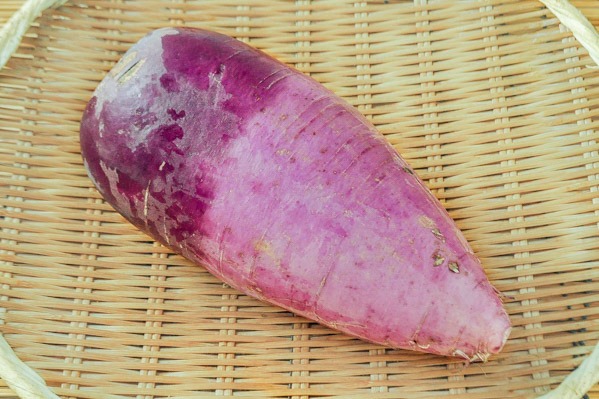 紫大根（味一）