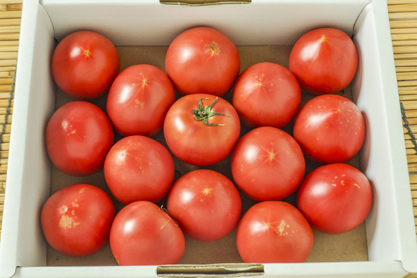 荏原　中玉トマト（シュクレトマト）（BS）1kg