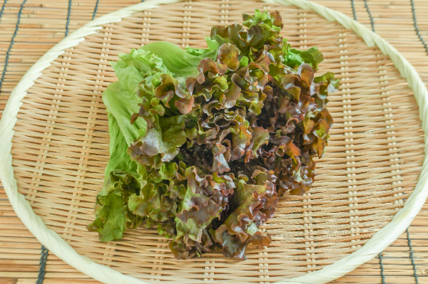 クルプック・ラサ・バワン（にんにくせんべい） 【業務用食材の仕入れ