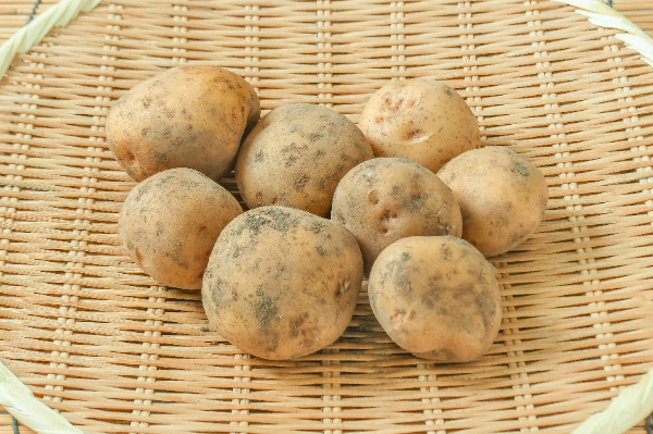 奥村さんのじゃがいも　800gr