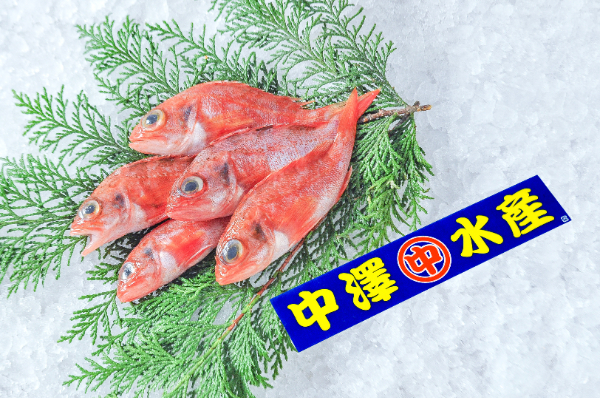 ユメカサゴ（底曳網）