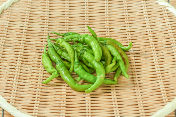 甘長ししとう（C）100gr