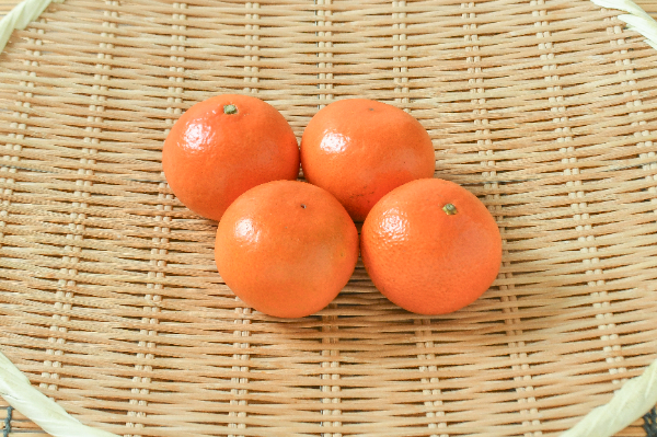 みはや（2S）（秀）500gr