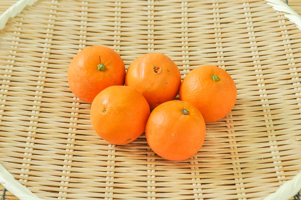 ネーブルオレンジ（2S）500gr