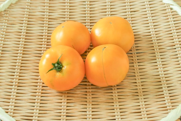 オレンジトマト（桃太郎ゴールド）（M）500gr