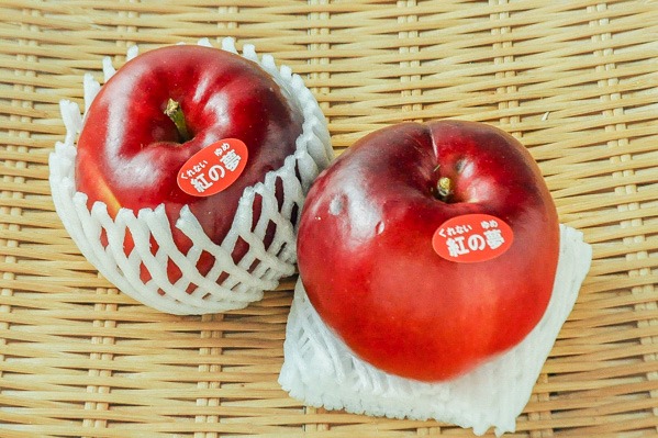 りんご（紅の夢）（28玉サイズ）（特選）