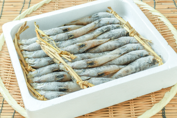 メヒカリ丸干わら刺し