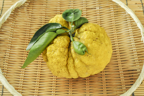 鬼ゆず 八面六臂