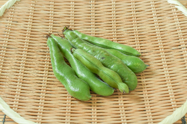 そら豆加工品（冷凍・常温） 【業務用食材の仕入れなら八面六臂】