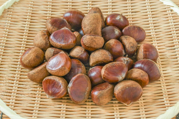 宮崎県産 栗 約10キロ 品種 筑波 b 楽天市場】栗 筑波の通販