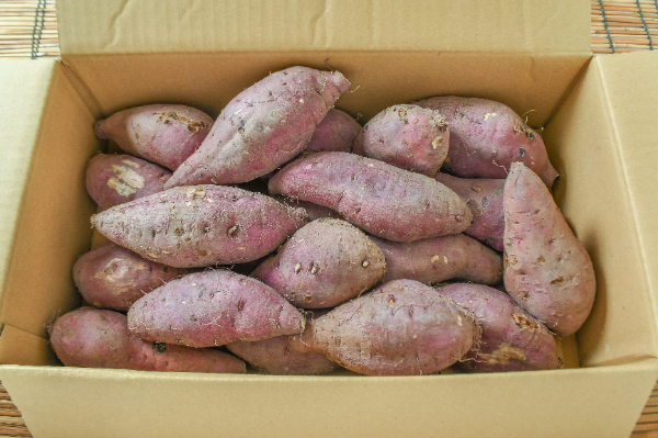 ハロウィンスイート 【業務用食材の仕入れなら八面六臂】