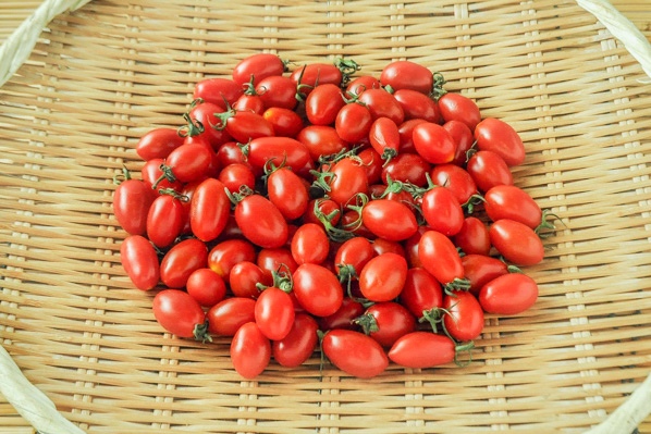 トマト王子（S）500gr