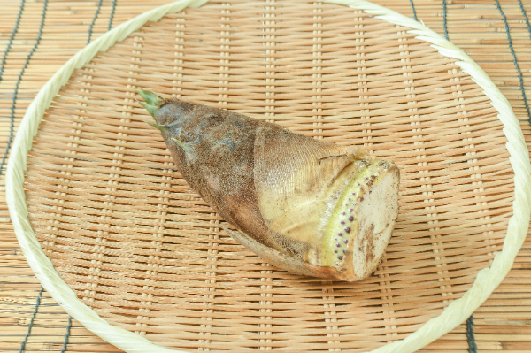 筍（たけのこ） 【業務用食材の仕入れなら八面六臂】