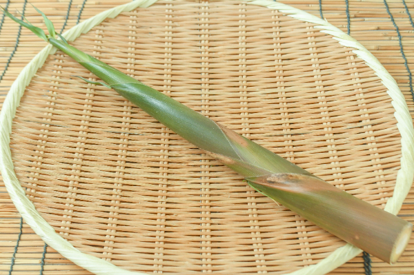 筍（たけのこ） 【業務用食材の仕入れなら八面六臂】
