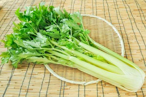 セロリ 【業務用食材の仕入れなら八面六臂】