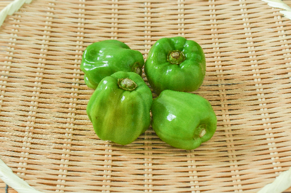 かぐらなんばん　4玉入