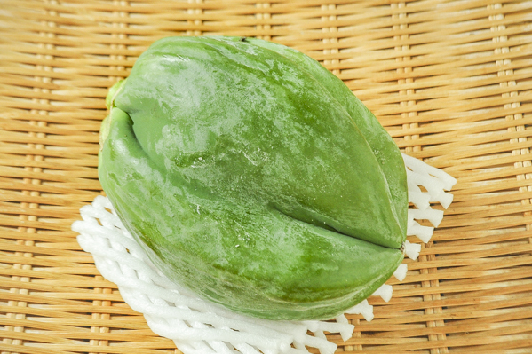 青パパイヤ 5玉サイズ 八面六臂