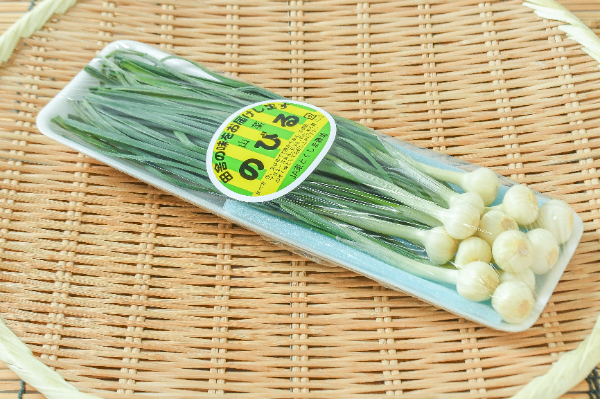 野蒜（のびる） 【業務用食材の仕入れなら八面六臂】